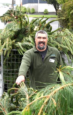 Rain and mud fail to deter tree sellers