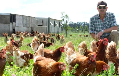 New code could cripple egg farmers