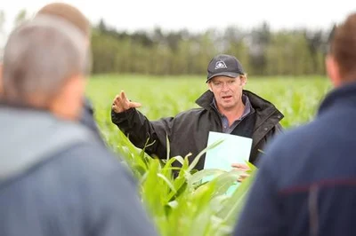 Getting the most from maize crops