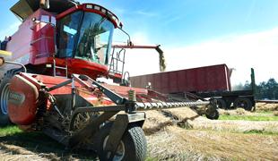 Conditions 'fantastic' to bring in the harvest