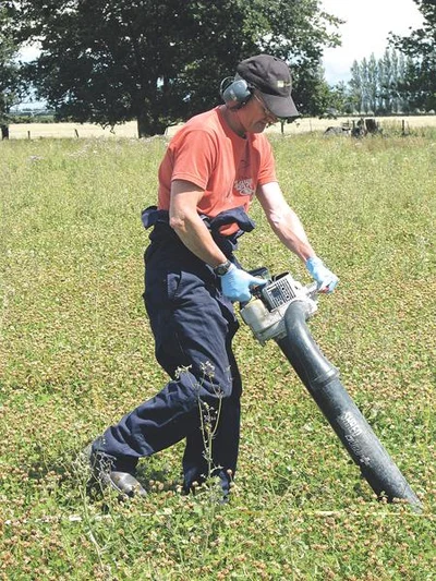 Insecticide impact tested