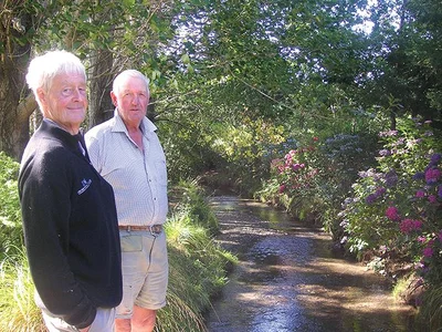 Farmers work together to save creek
