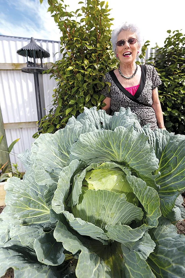Freaky Cabbage Monster cabbage