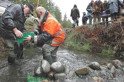 Helping hand for salmon fishery