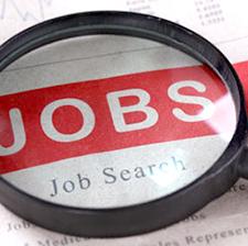 Job seeking numbers rise