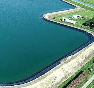 Huge storage lake to benefit BCI farmer shareholders