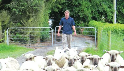 Cameron set to compete against top livestock judges