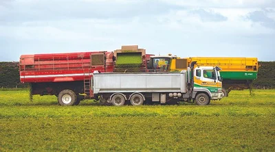Eradication removes threat to pea growing industry