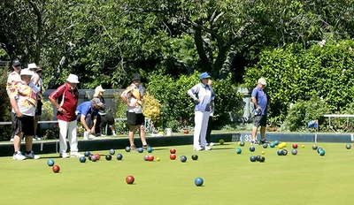 Strong support for bowls staying in domain