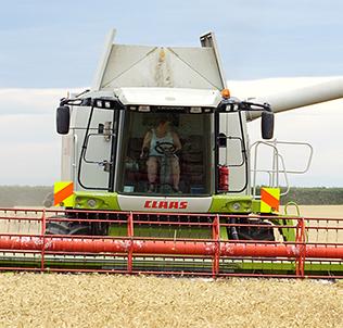 Harvest yields 'average' in Canterbury