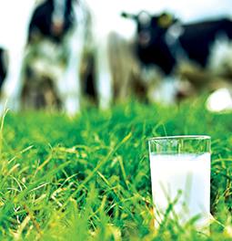 Bumper forecasts for milk suppliers