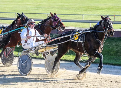 Strong weekend for local harness racing stallion