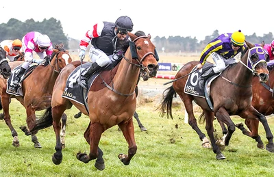 Ashburton lead-in perfect for Winter Cup charge