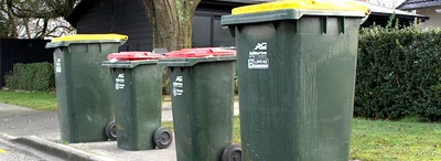 Council to look into green bins