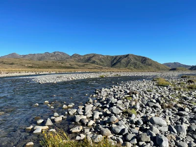 Stream water quality improvements found in long-term study