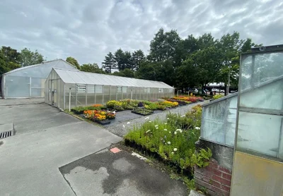 Home-grown horticulture part of Ashburton’s history