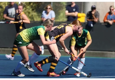 Strong start for local hockey sides